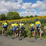 les tournesols